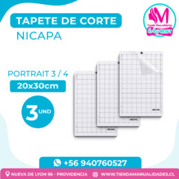 NI-P-01-SET 3 UNIDADES - Mat Corte (TAPETE) NICAPA 30.5 x 20,3 Cm, For PORTRAIT 3
