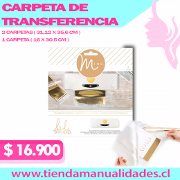 CARPETA DE TRANSFERENCIA MINC