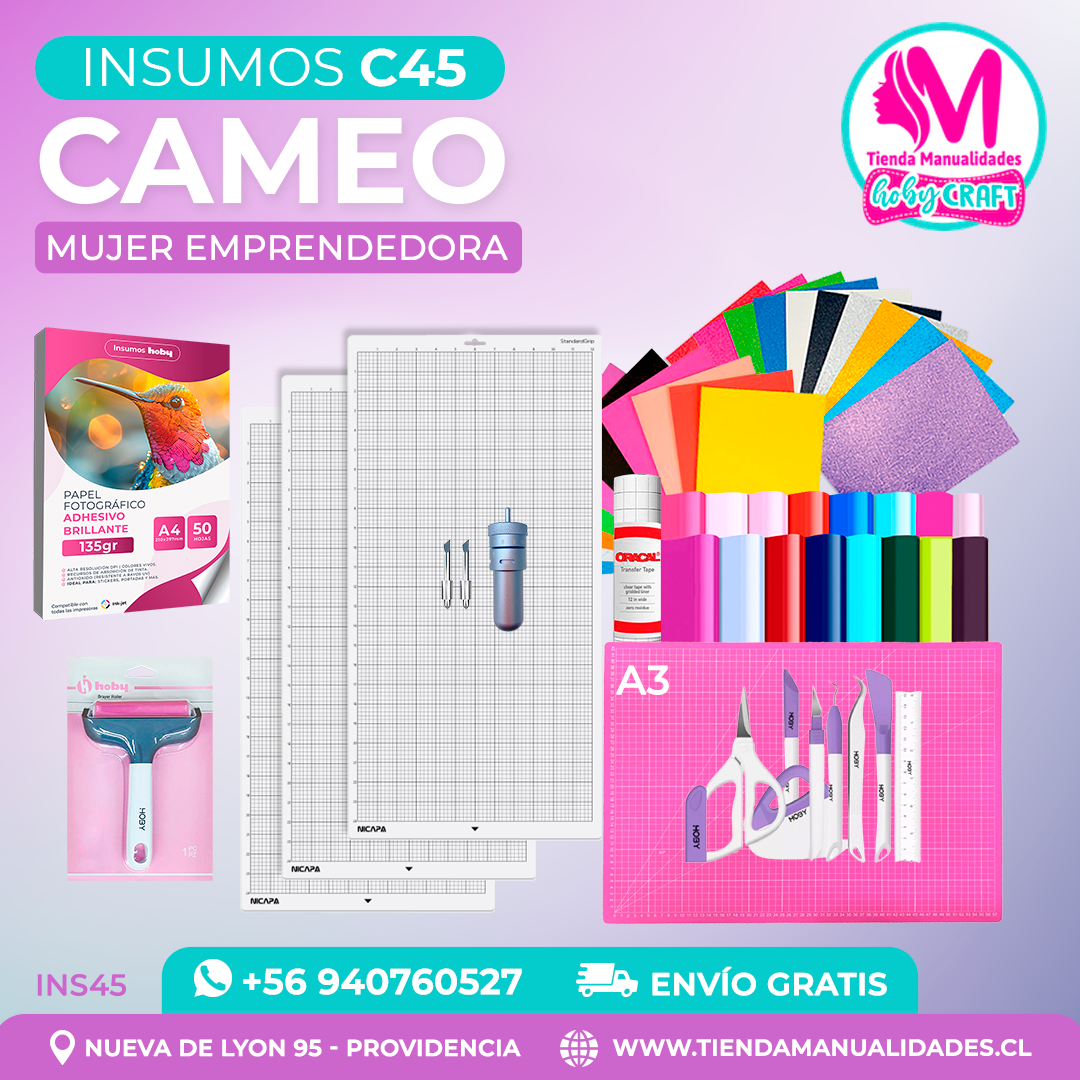 C45 Insumos Cameo - Envío gratis